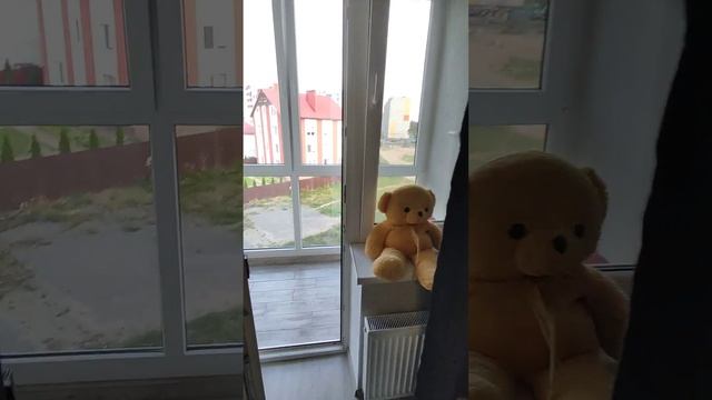 Сдается 2х комнатная квартира в Калининграде, 69.1 кв. м. долгосрочная аренда. Ул. Тихоокеанская 60 смотреть онлайн