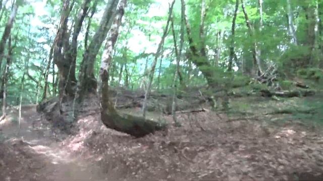 Горки байк парк Медвежий угол+Crimean trip100617 смотреть онлайн