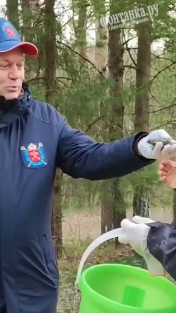 Везде потоп, а в Питере иные проблемы. "Ну Хотите в жопу" - предложил глава Александр Герман смотреть онлайн