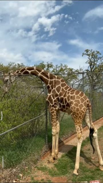 11 August 2022 смотреть онлайн