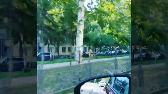 Голый мужик в Новосибирске смотреть онлайн