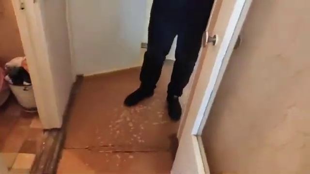 Королева 1.1. Аренда. Сдается квартира. Ростов. Ростов-на-Дону смотреть онлайн