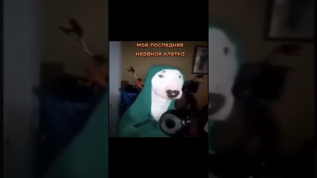 все 3 части как и обещал смотреть онлайн