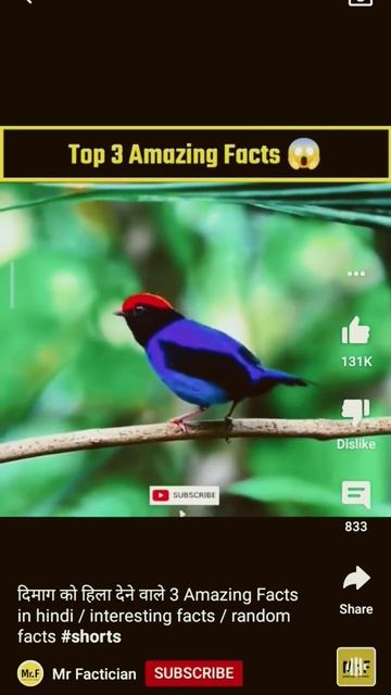 deemak hila Dene Wale fact#facts #factsinhindi #pathan #shahrukh #trending смотреть онлайн