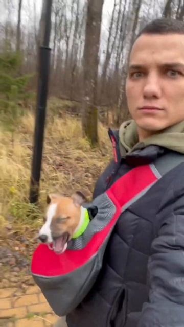 Параноик 👀 смотреть онлайн