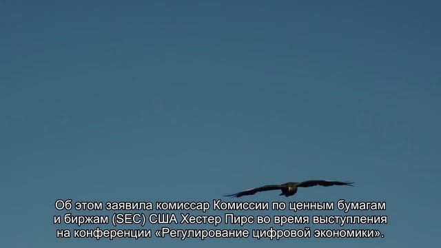 «Крипто-мама» призвала регуляторов внести «правовую ясность» в сегмент DeFi смотреть онлайн