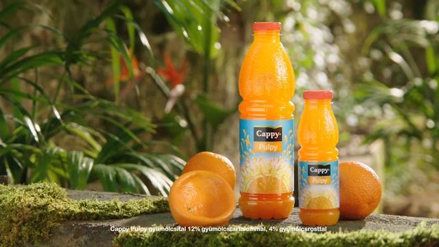 Cappy Pulpy – Új ízek смотреть онлайн