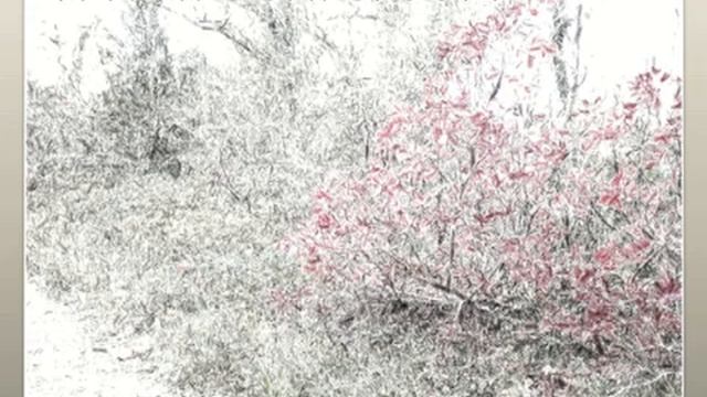 Г П Грабовой 'Проявления Вечности', книга изображений Russian смотреть онлайн
