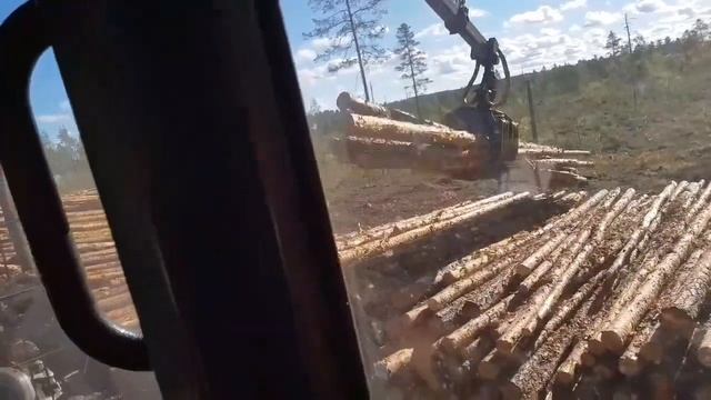 🌲Шведский лес🌳 🙂🍃katiuzhLIVE смотреть онлайн