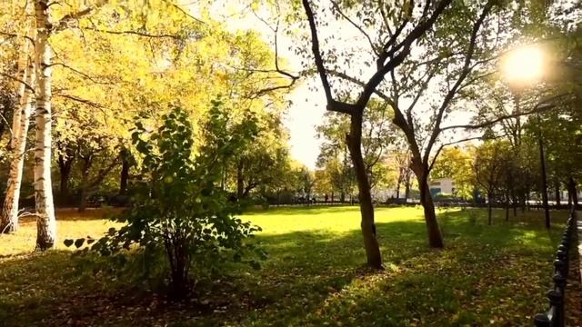(Апартаменты )г.Москва ул.Палиха,4 смотреть онлайн