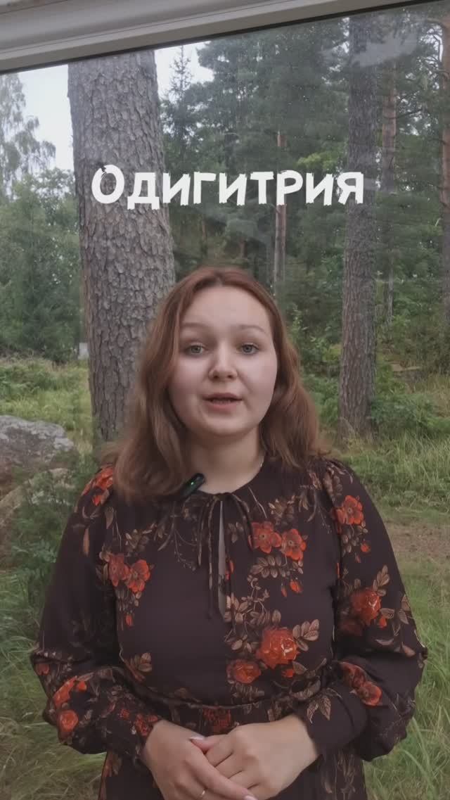 Типы Богородичных икон. Одигитрия. Ч.3.