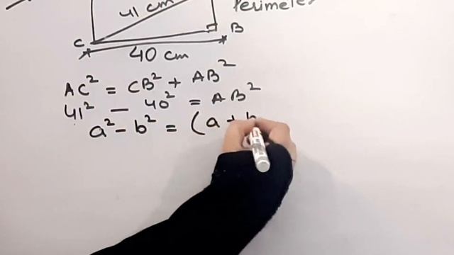 Find perimeter of the rectangle whose length is 40 cm,diagonal is 41 cm I Class 7I Ex 6.5 I Q-7 I смотреть онлайн