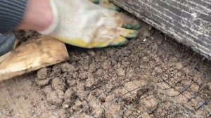 Сетка от кротов. Знал бы я раньше #сад #грядки