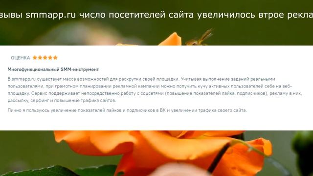 Отзывы smmapp.ru число посетителей сайта увеличилось втрое реклама смотреть онлайн