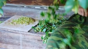 ЛЕТО – ПРИПАСИХА, ЗИМА – ПОБЕРИХА! Сходили ко ПЧЕЛАМ