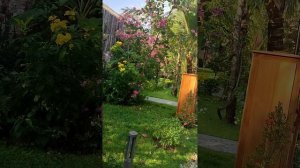 МНЕ И ОДНОЙ ХОРОШО В 40 ЛЕТ