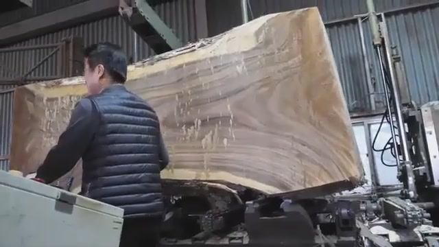 Как самые большие деревья на Земле превращаются в роскошную мебель! смотреть онлайн