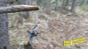 Открытие охоты. Новый участок. Первая добыча. 17.10.2019