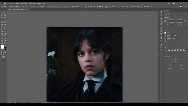 Adobe illustration | Vector Arts | Day 1 смотреть онлайн