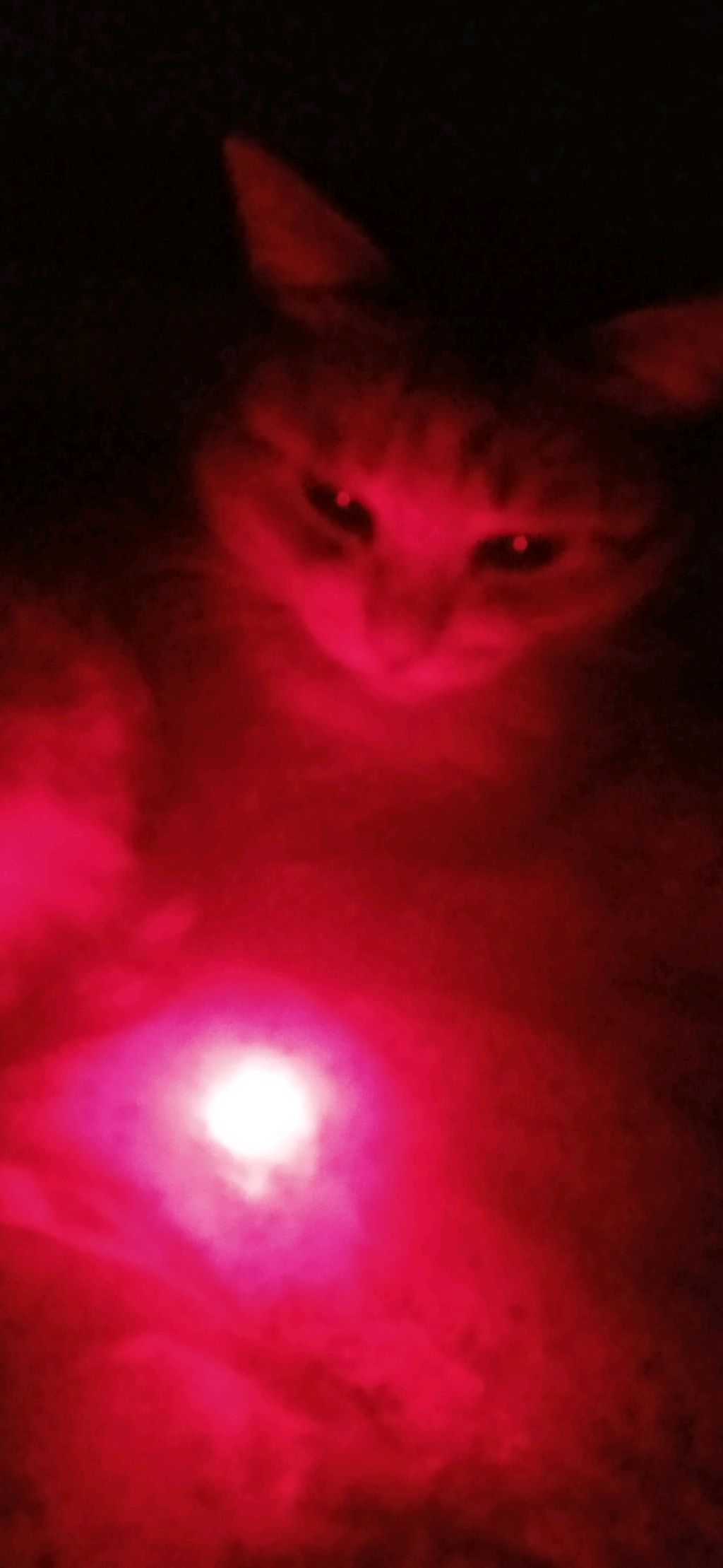 страница Чарли