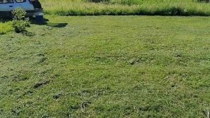 Триммер HUTER GGT-15004Т. Первый опыт работы. Отзыв.