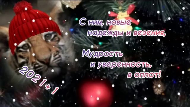 С Новым 2022 годом тигра! С наступающим 2022 тигра смотреть онлайн