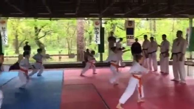 WhatsApp Video 2019 12 01 at 15 26 48 смотреть онлайн