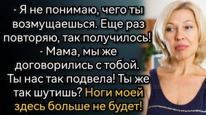 Истории из жизни. Чего ты орешь, я что, робот, решила и решила, это же ваш ребёнок. Аудио рассказы