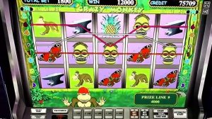 Crazy Monkey (Обезьянка) - Игровые автоматы онлайн