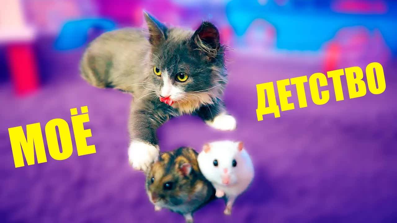 Я ЧУТЬ НЕ СЪЕЛА ХОМЯКОВ! МОЁ ДЕТСТВО ГЛАЗАМИ КИСЫ АЛИСЫ ЧАСТЬ 2 смотреть онлайн