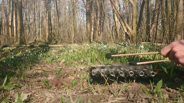 Hulam Compact C major / a minor improvisation in forest. смотреть онлайн