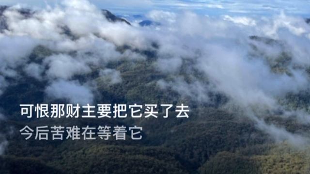 三套车 смотреть онлайн