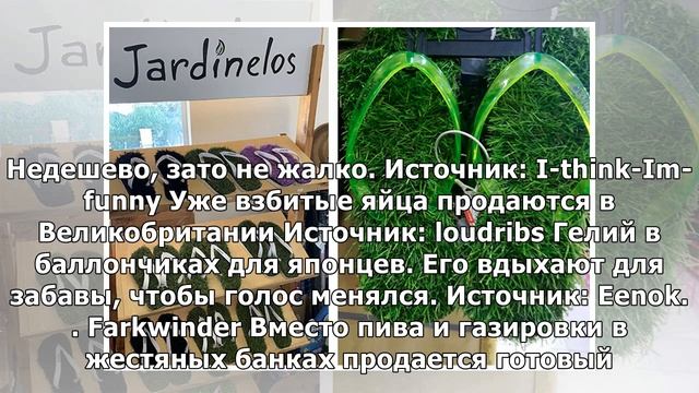Голова идет кругом от этих экзотических товаров со всех уголков мира смотреть онлайн