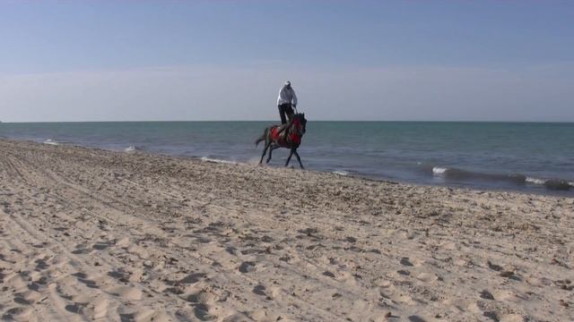 Озвучивание перемещения в пространстве. ( Наездник на лошади у моря ). смотреть онлайн