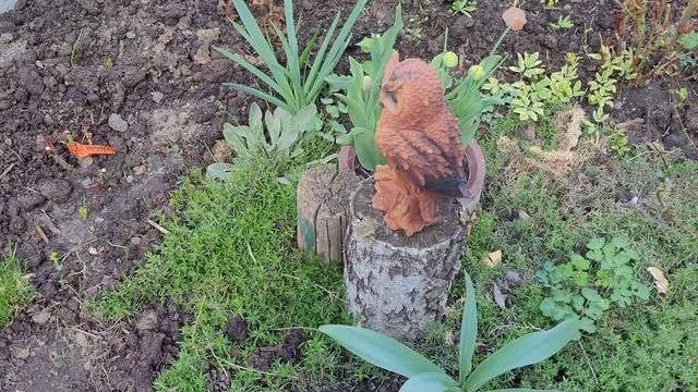 Прогулка по саду.Середина весны)🤗 смотреть онлайн