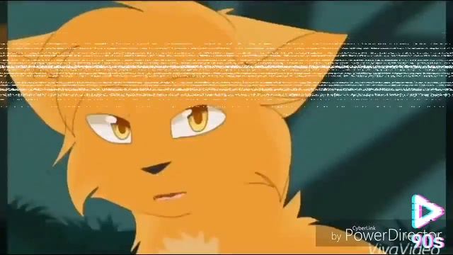 Коты воители ~ клип ~ так устроен этот мир смотреть онлайн