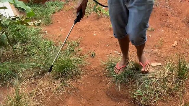 Melhor Mata Mato caseiro, Seca tudo em Poucos Dias - Roundup nunca mais смотреть онлайн