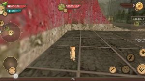 Как быстро прокачаться и получить монеты в CatSim (простите что без звука)
