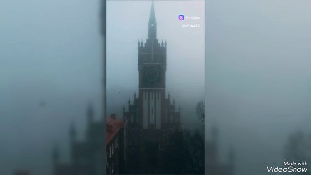 Калининградские Туманы в январе 2025 смотреть онлайн