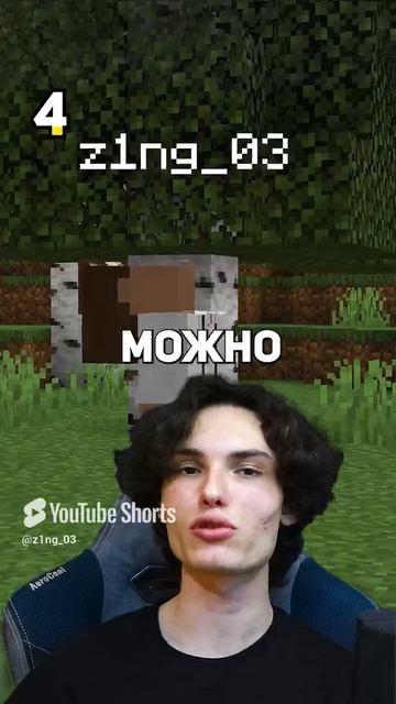 146 СЕКРЕТОВ В МАЙНКРАФТЕ #minecraft #майнкрафт #секретымайнкрафт (35) смотреть онлайн