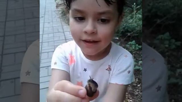 Люди,нашествие улиток! смотреть онлайн