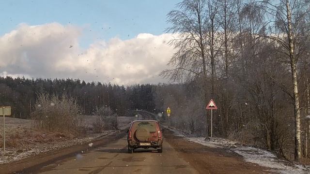 грибной снег