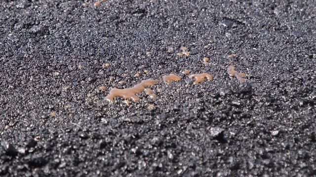 В Вейделевском районе ремонтируют трассу Попасный - Ровны смотреть онлайн