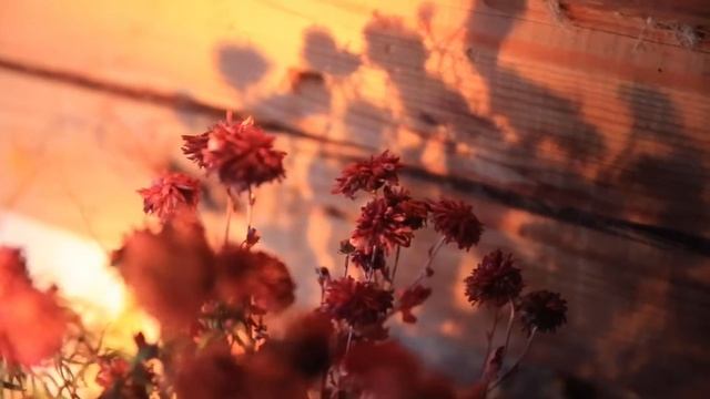 Один из дней смотреть онлайн