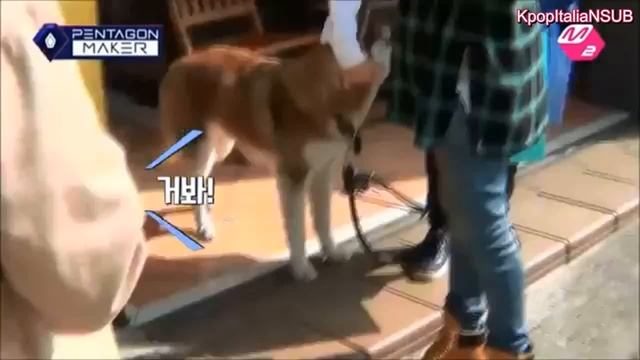 [SUB ITA] PENTAGON Funny Clip #4 - Jinho scared by a dog смотреть онлайн