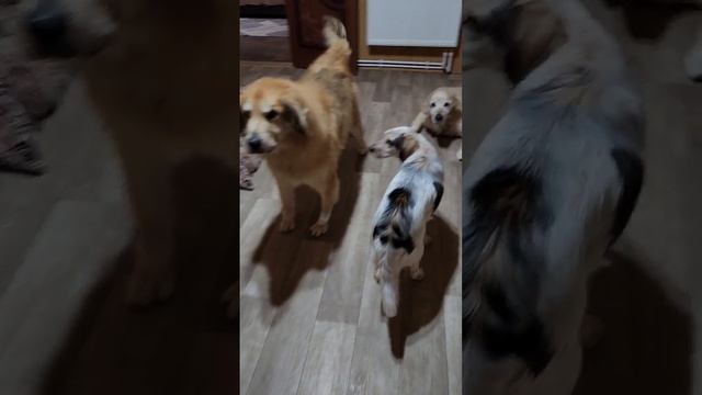 Доброго дня смотреть онлайн