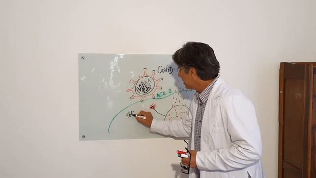 Manifestações clínicas do corona vírus - parte 2 смотреть онлайн