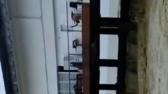 СОЧИ ПОТОП МЧС СПАСЕТ ДВОИХ смотреть онлайн