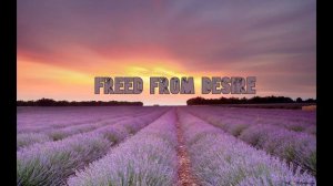 GALA - Freed from desire 1 Hour