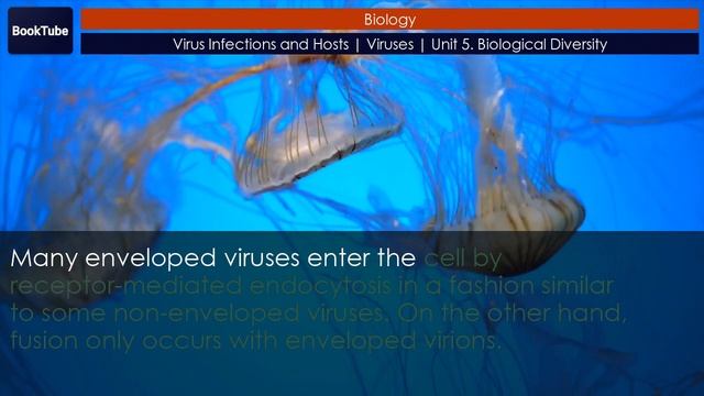 Virus Infections and Hosts | Viruses | Unit 5. Biological Diversity смотреть онлайн